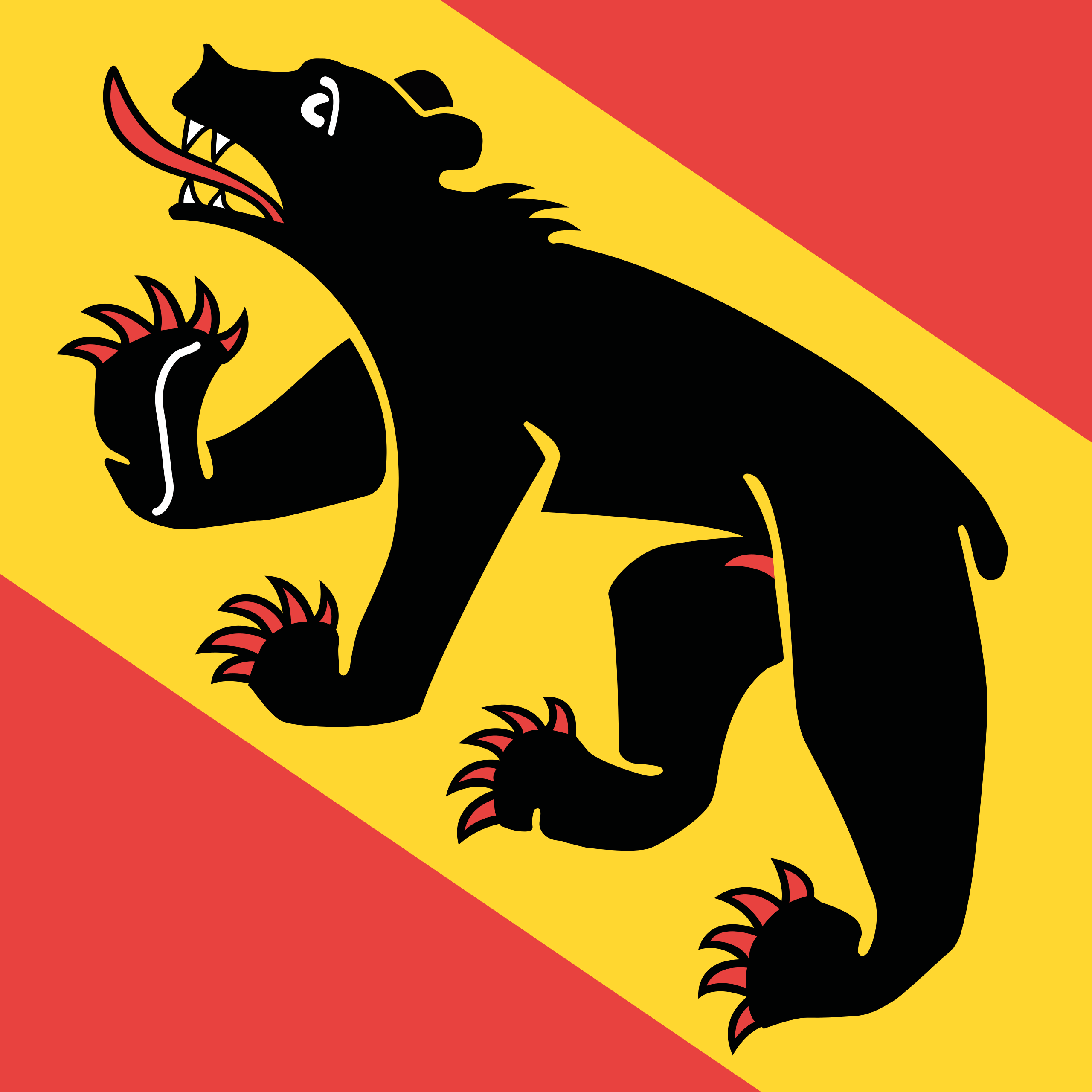 Bandera Berna