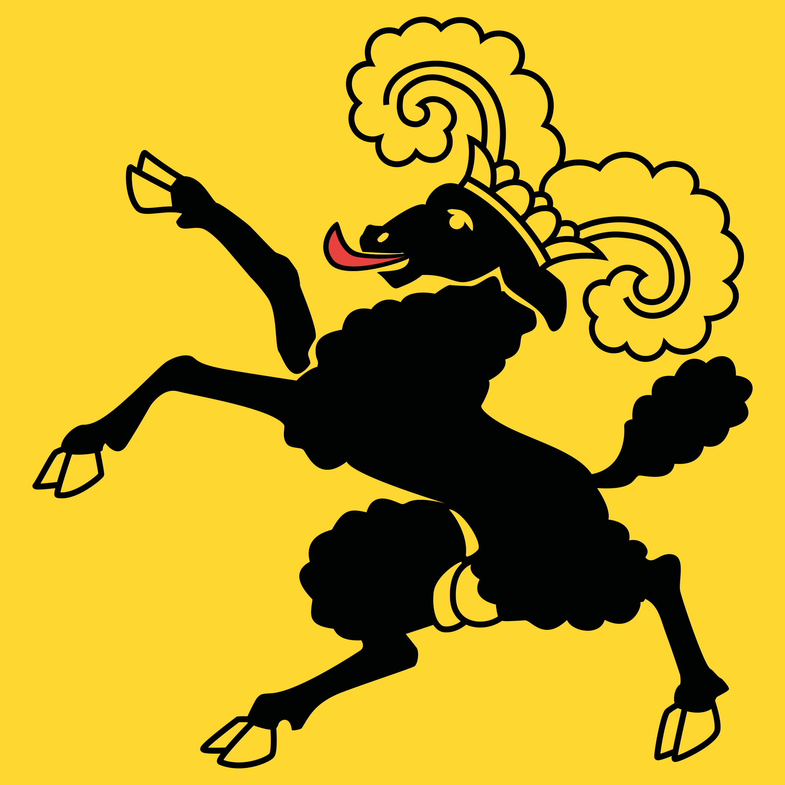 Bandera Schaffhausen