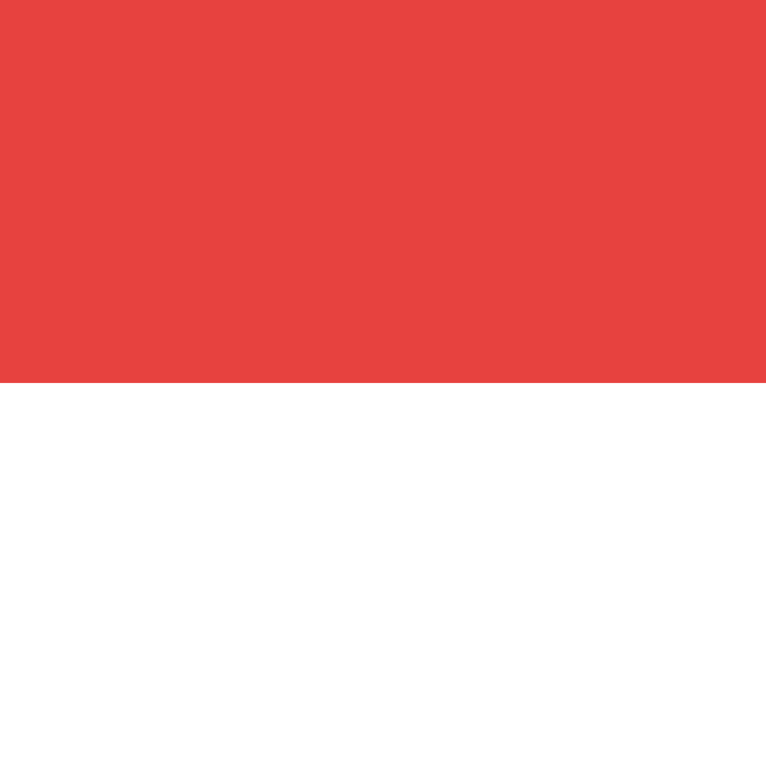 Bandera Soleura