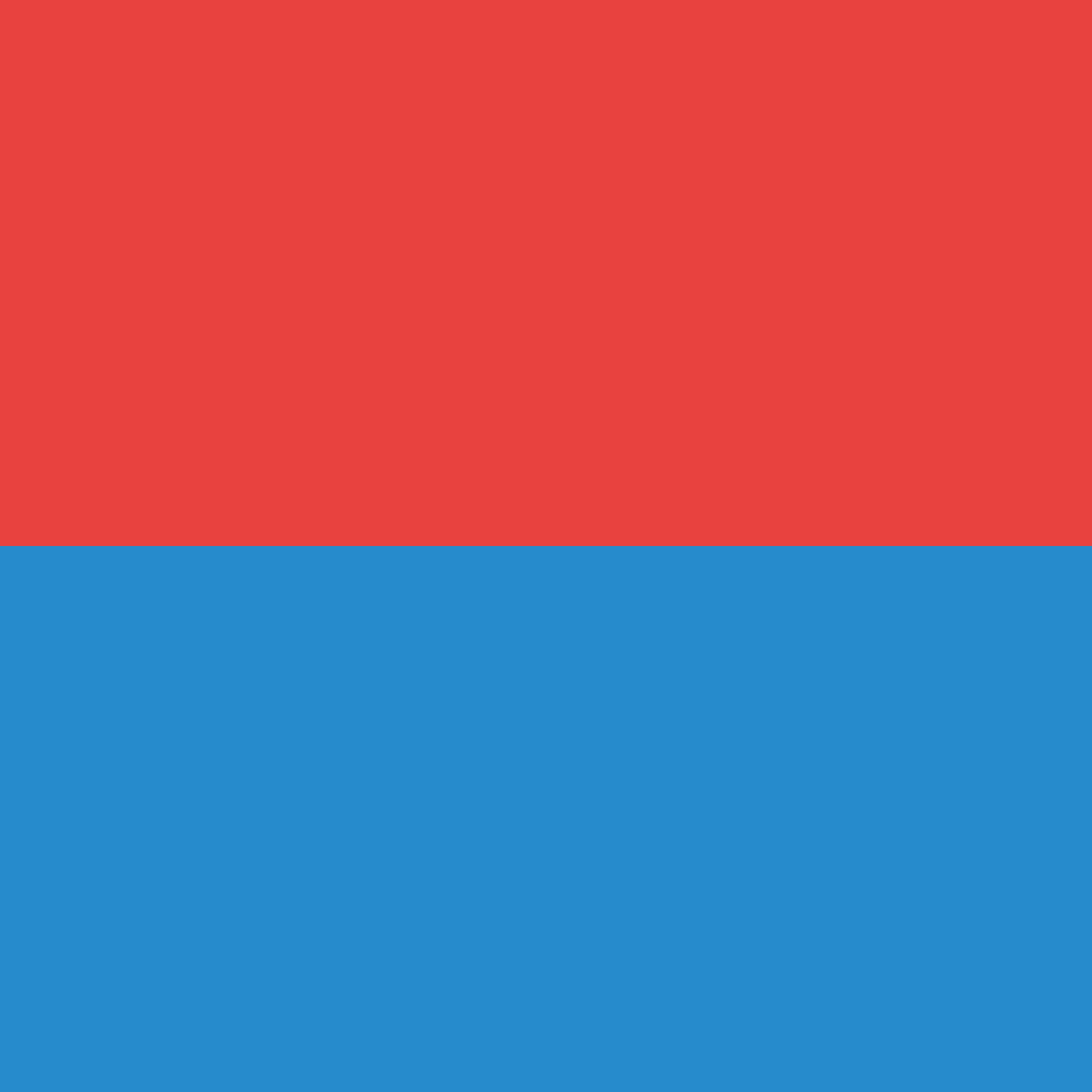 Bandera Tesino