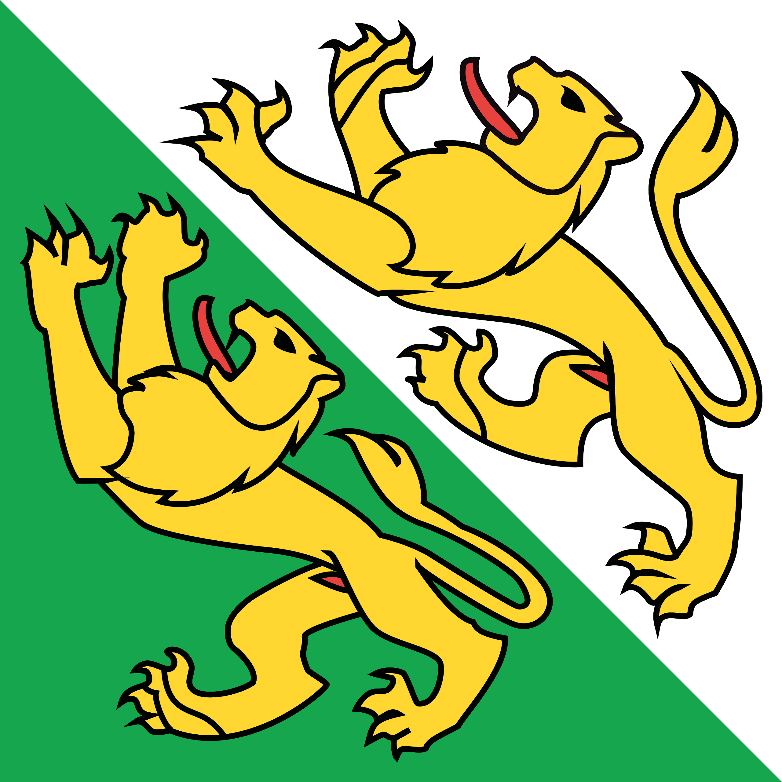 Bandera Turgovia